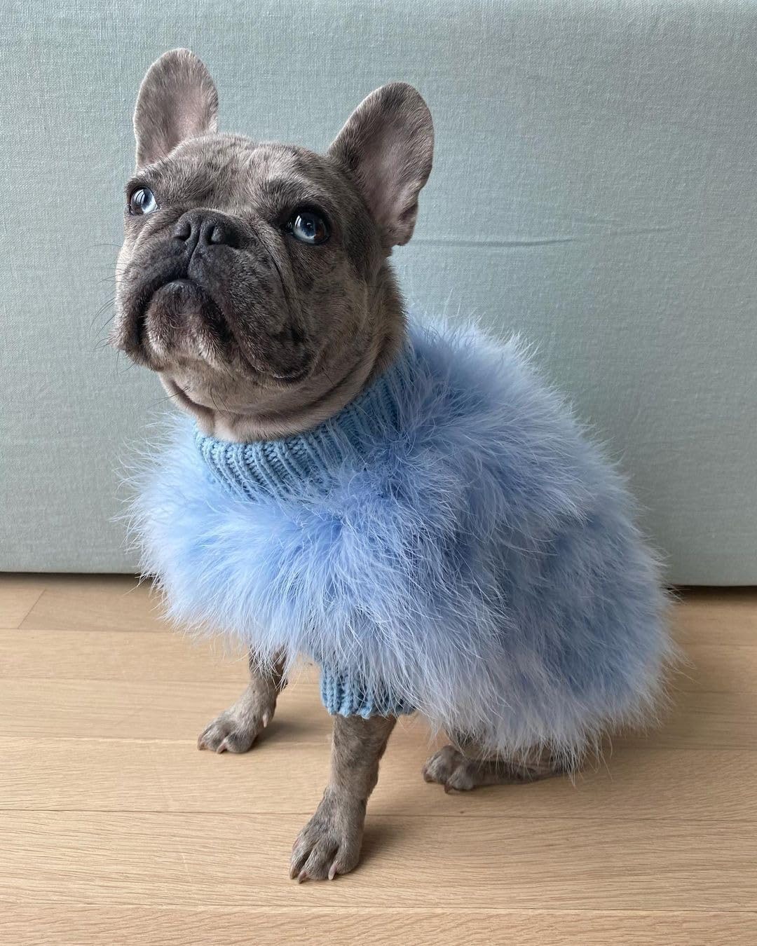 Fluffy Dog Sweater for Small Medium Dogs – Feather Look Knit Pet Outfit for Winter, Party, Photoshoot & Holiday Wear (Sky Blue,M)