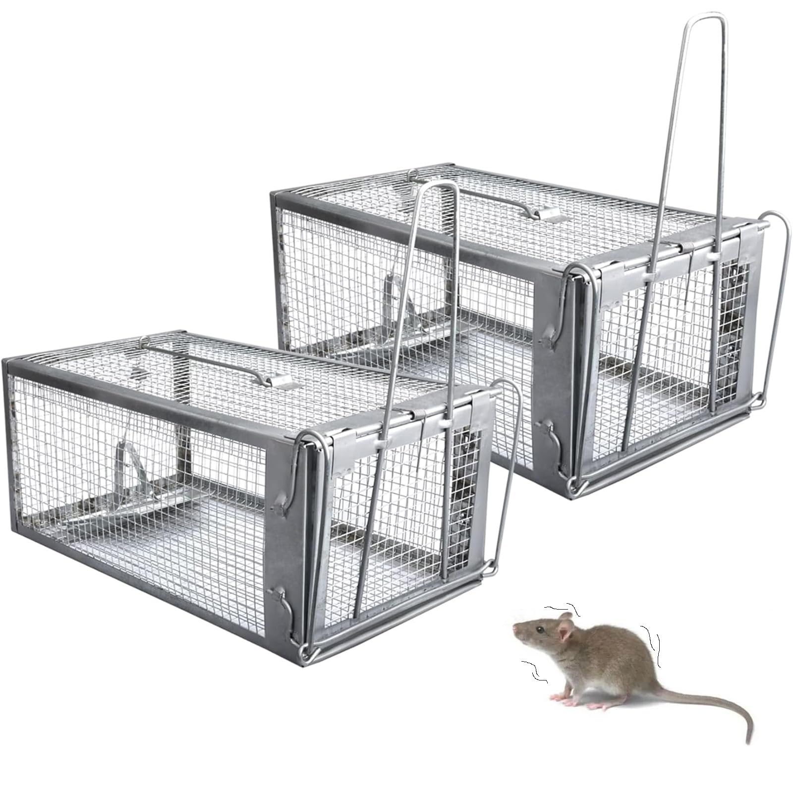 Humane Rat Trap - Catch & Release Chipmunks, Squirrels, Rats & Mice ，Live Mouse Trap for Indoor & Outdoor Use ， No-Kill Rodent Trap for Home, Yard, Garage ，Reusable Metal Cage with Easy Setup (2PACK)