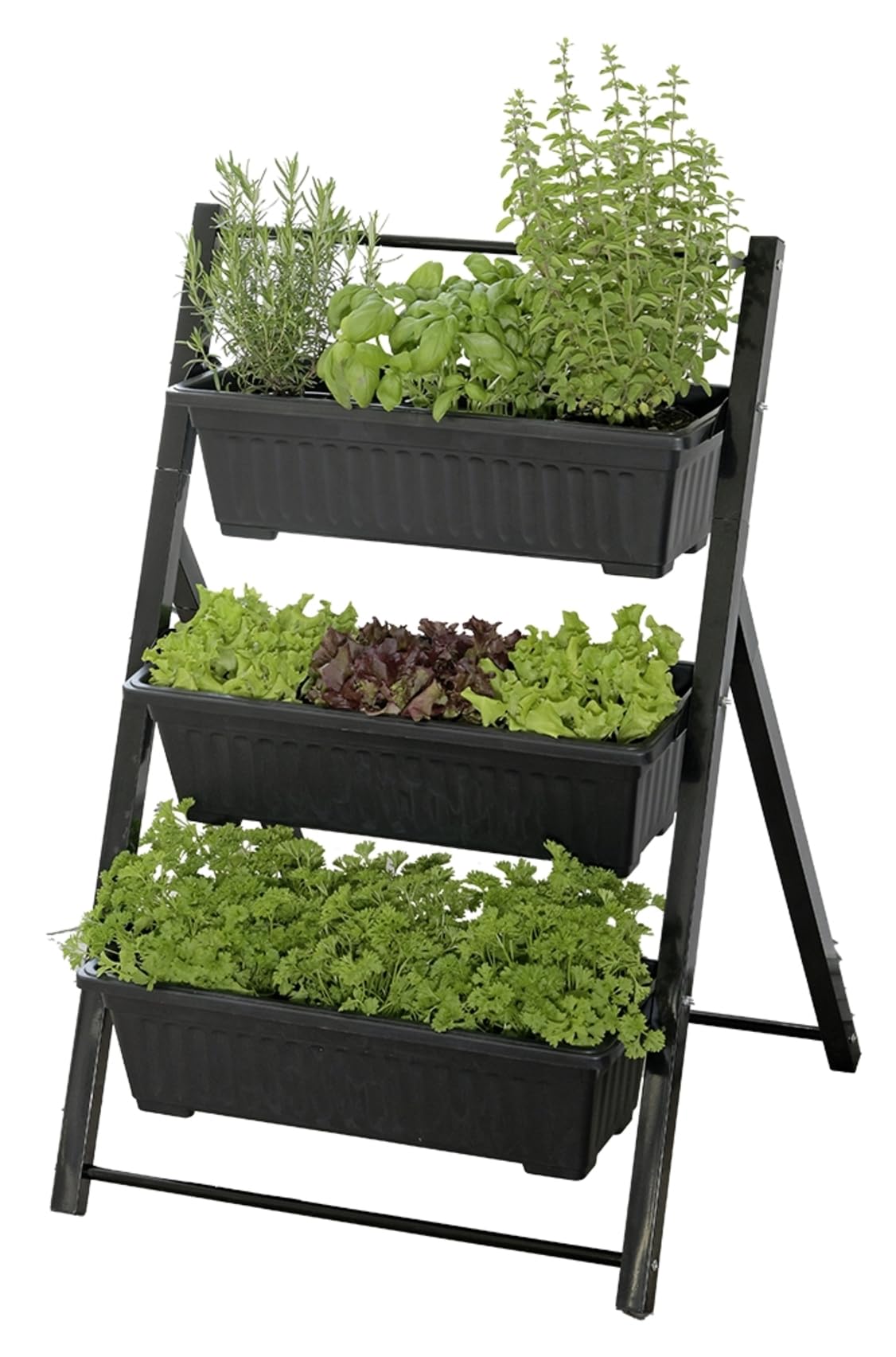Potager vertical surélevé Maximex pour cultiver vos herbes et légumes sur le balcon