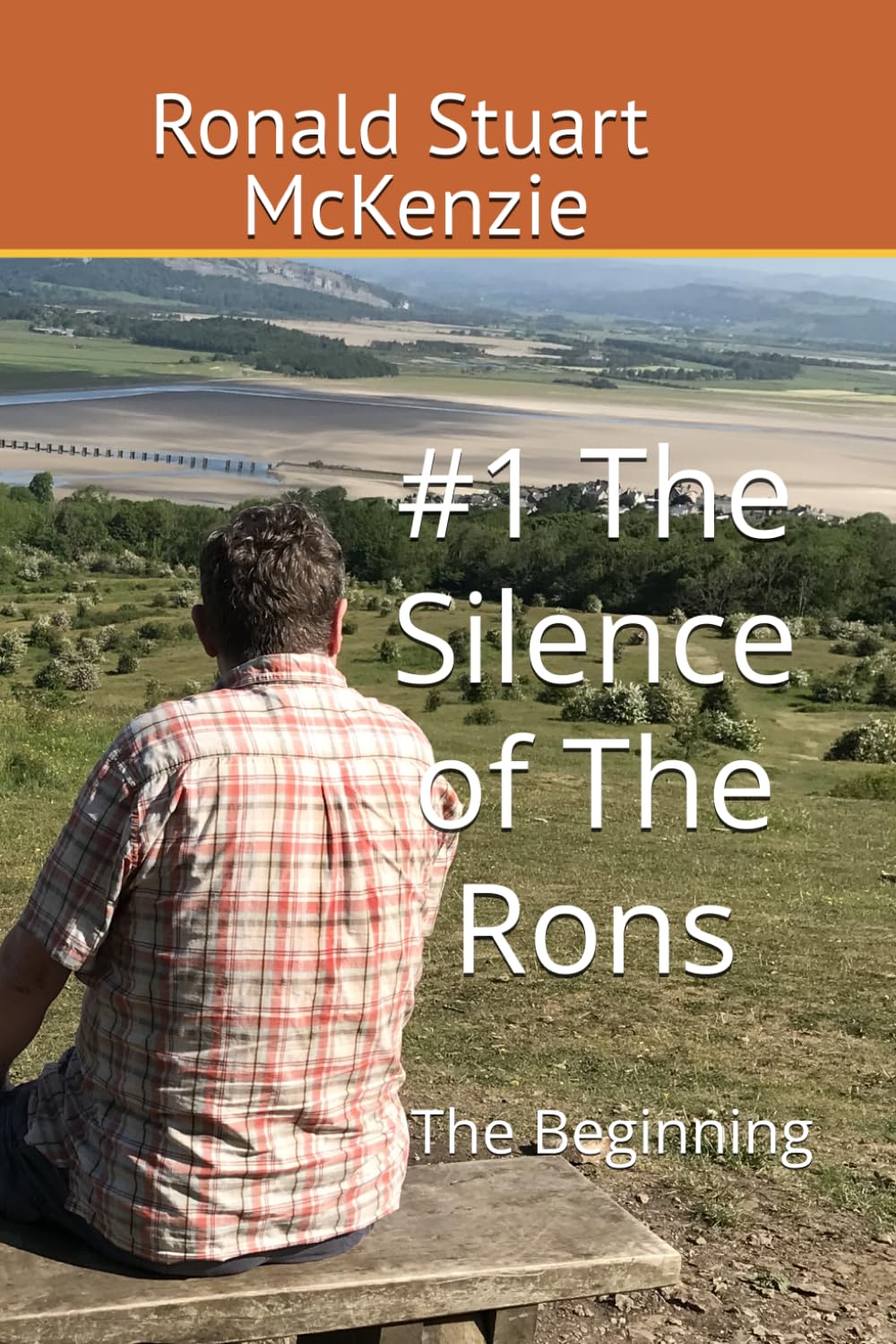 #1 The Silence of The Rons: The Beginning (The Chronic Chronicles of The Rons)