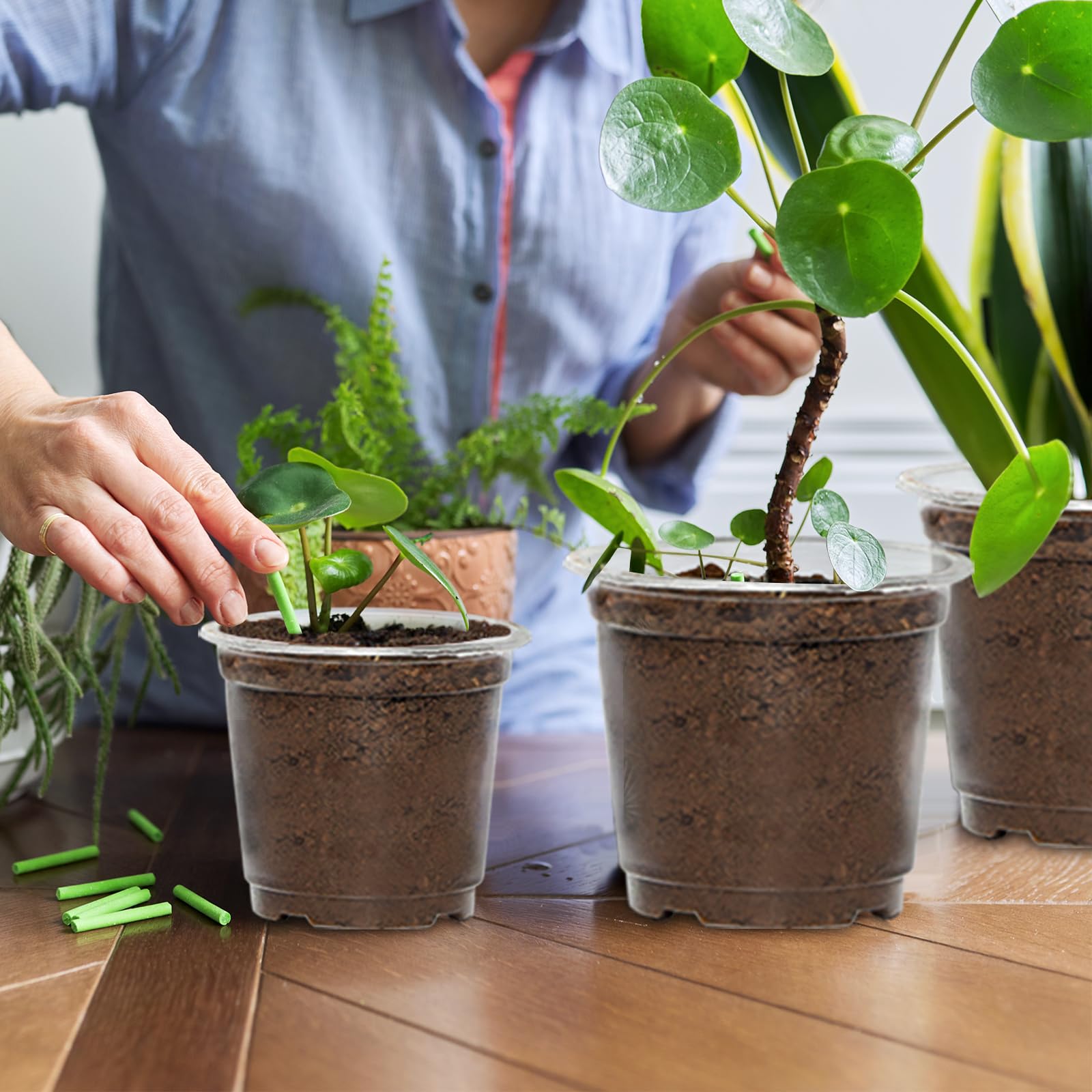 JERIA Paquete de 30 macetas Transparentes de 6/5/4 Pulgadas con Agujeros de Drenaje, macetas Transparentes para Plantar, macetas de plástico Transparente, Maceta Duradera para Plantas suculentas