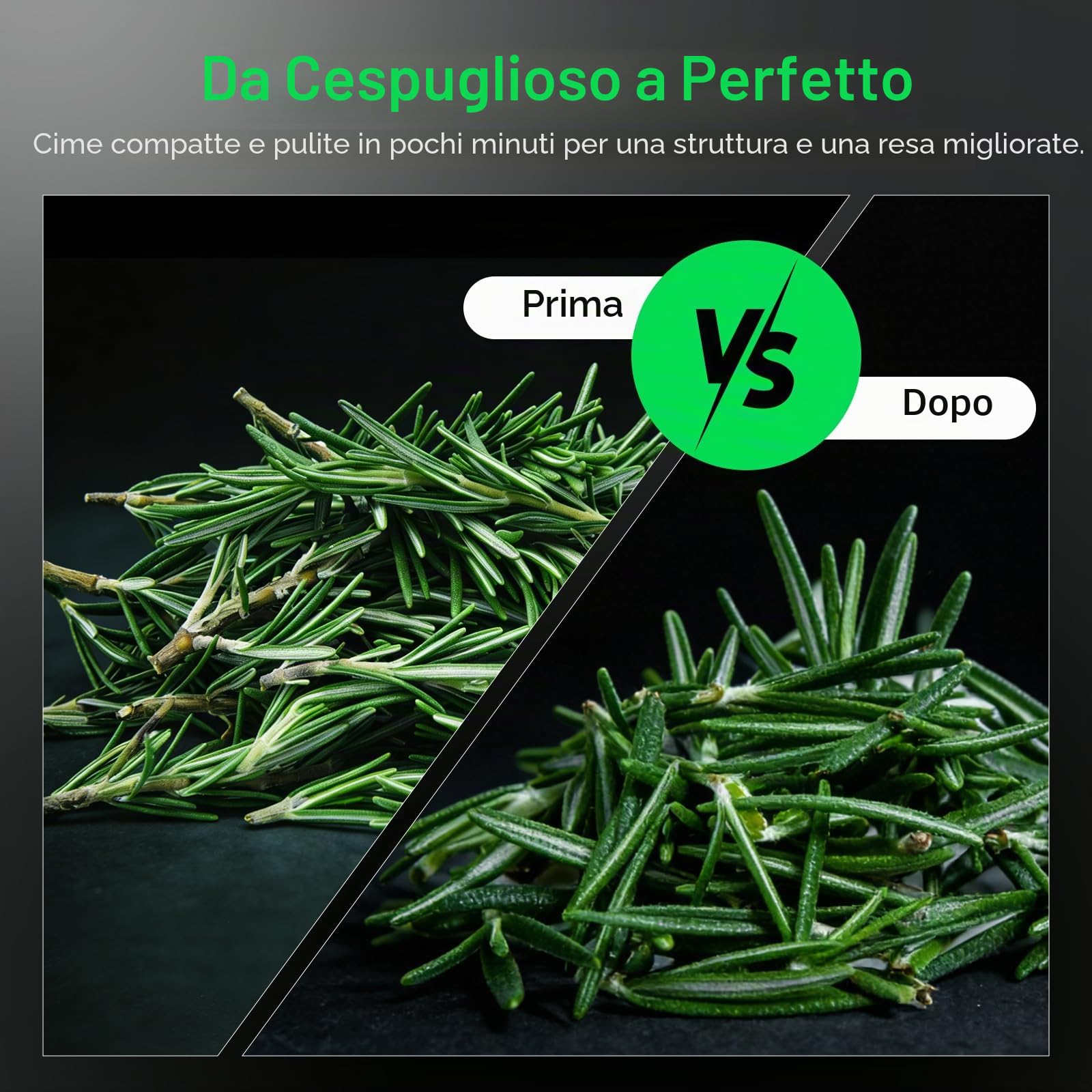 VIVOSUN Decespugliatore per boccioli da 40,6 cm, cupola trasparente visibile, lame affilate in acciaio inox per taglio rotante e scatola ingranaggi in metallo solido, potatore manuale incluso