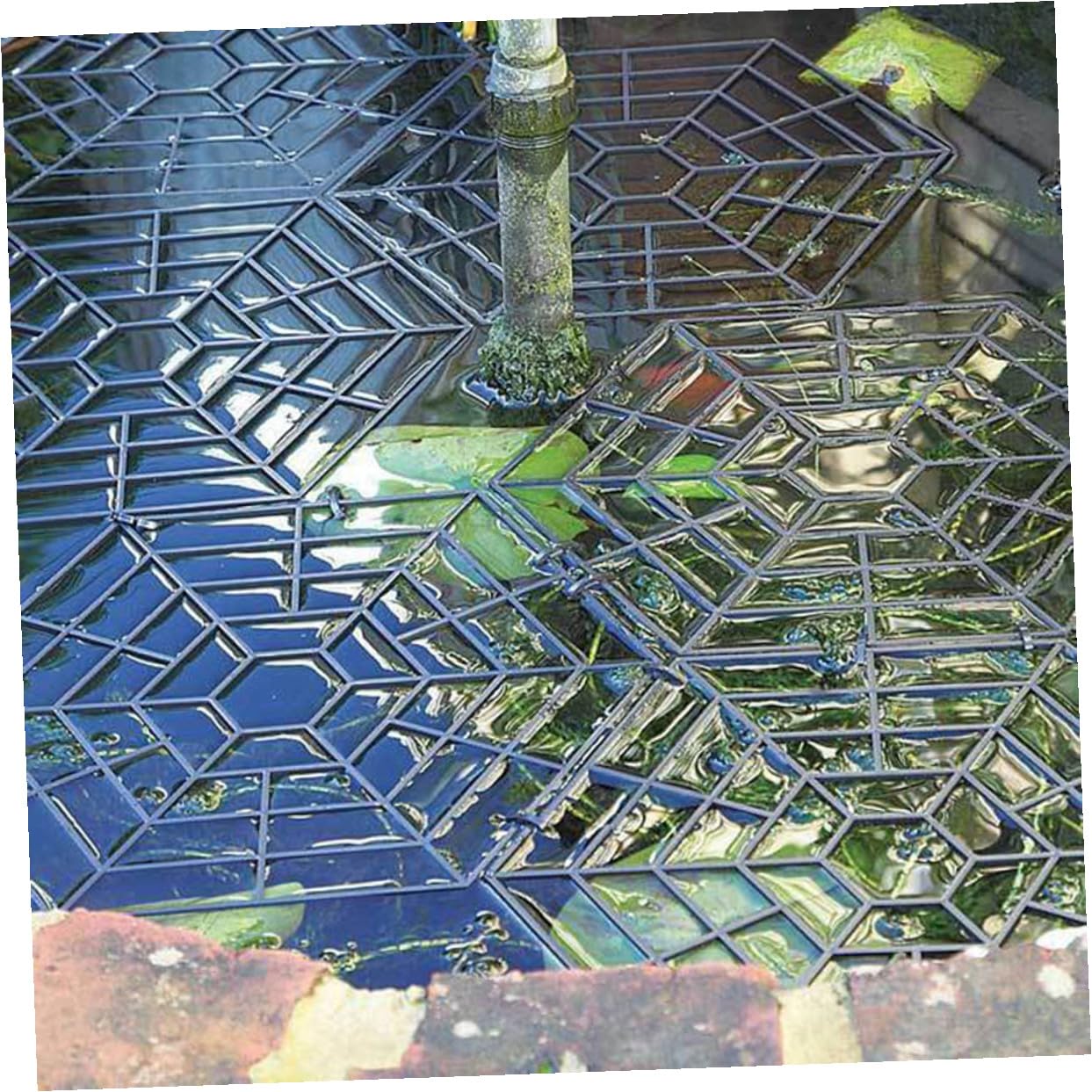 Gatuida Red Protectora de Peces de Plástico PP para Estanques al Aire Libre, 20 Piezas Hexagonales Negras, Malla Resistente al Desgaste, Protección contra Aves y Depredadores, Red