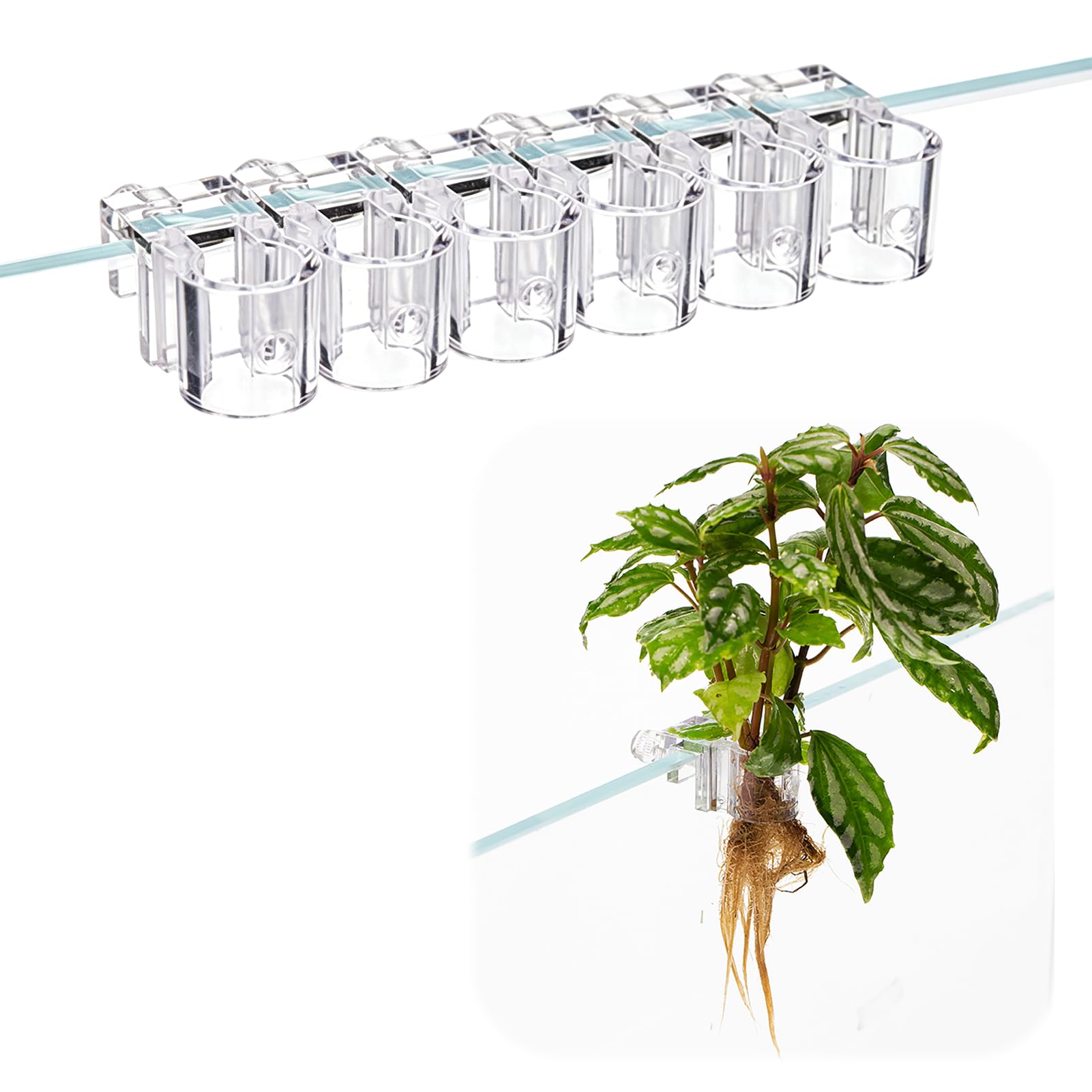Penfuzon Aquarium Plant Holder, 6pcs Aquarium Stand, Secure Plant Support, Easy Installation, Durable Design, Versatile Application