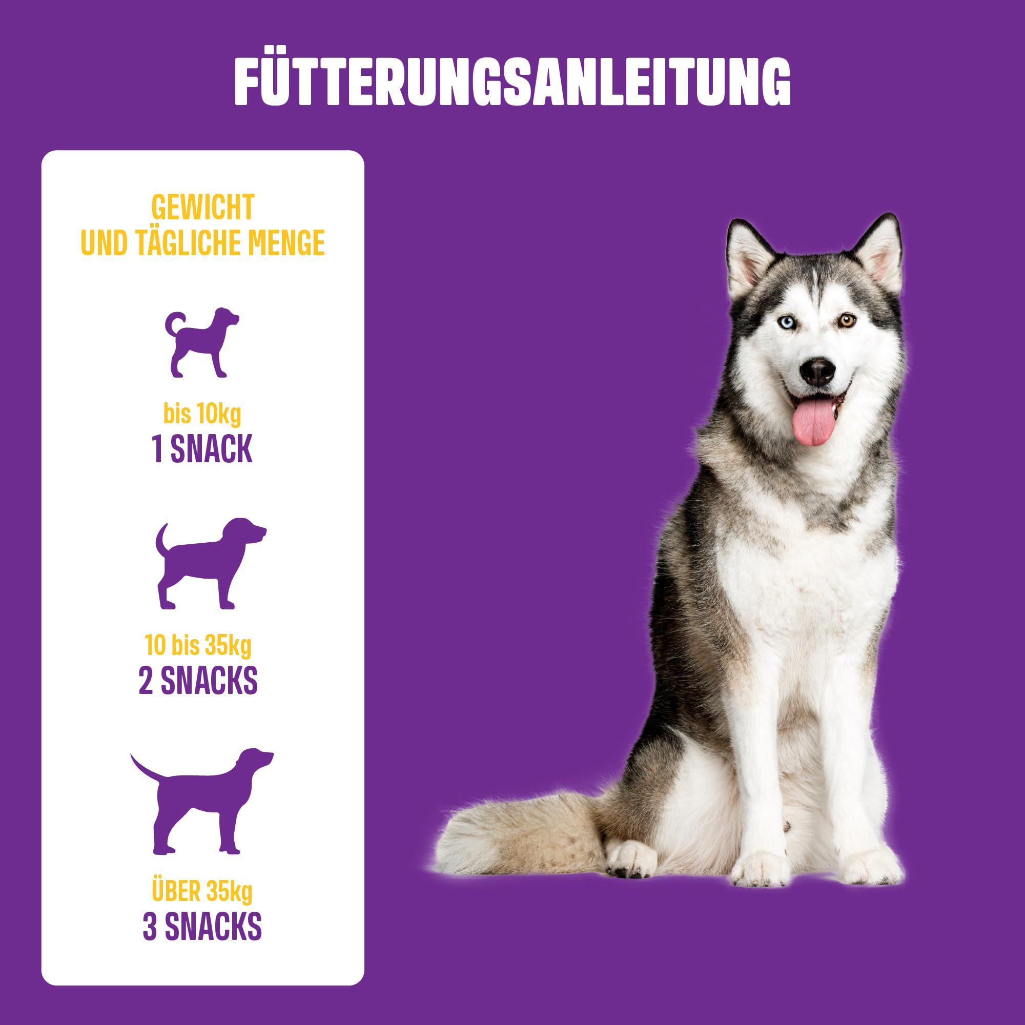 ivvi Vision – Augenpflege Snacks für Hunde | Mit DHA, Astaxanthin, Blaubeere & Augentrost | Unterstützt Augenkomfort & Netzhaut | 60 weiche Snacks (270 g)
