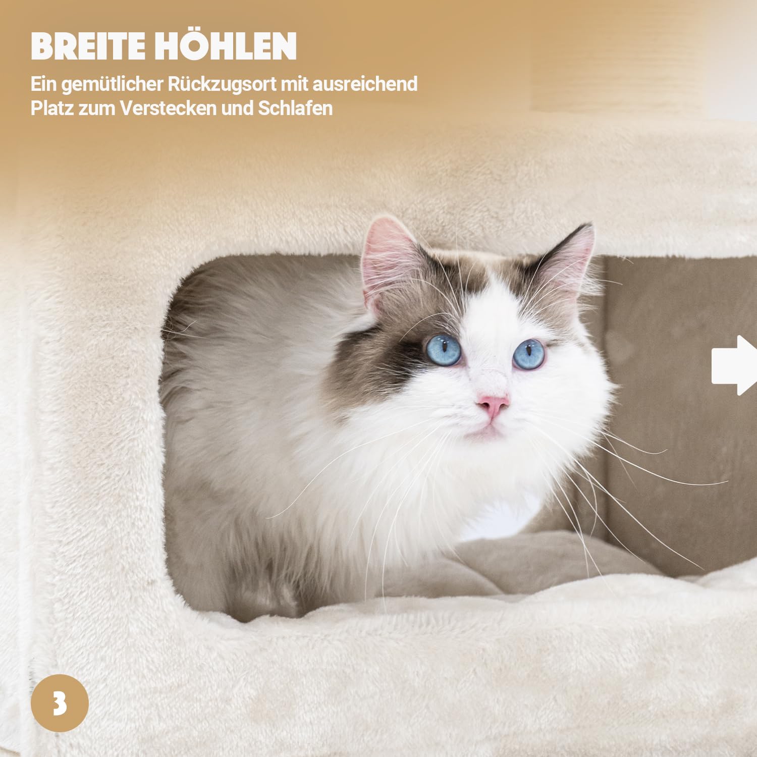 Petrebels Arbre à Chat Geant XXL Turnpike 190 Beige/Crème, 76 x 76 x 190 cm, avec poteaux de 15 cm de diamètre, Arbre à Chat pour Grands Chats