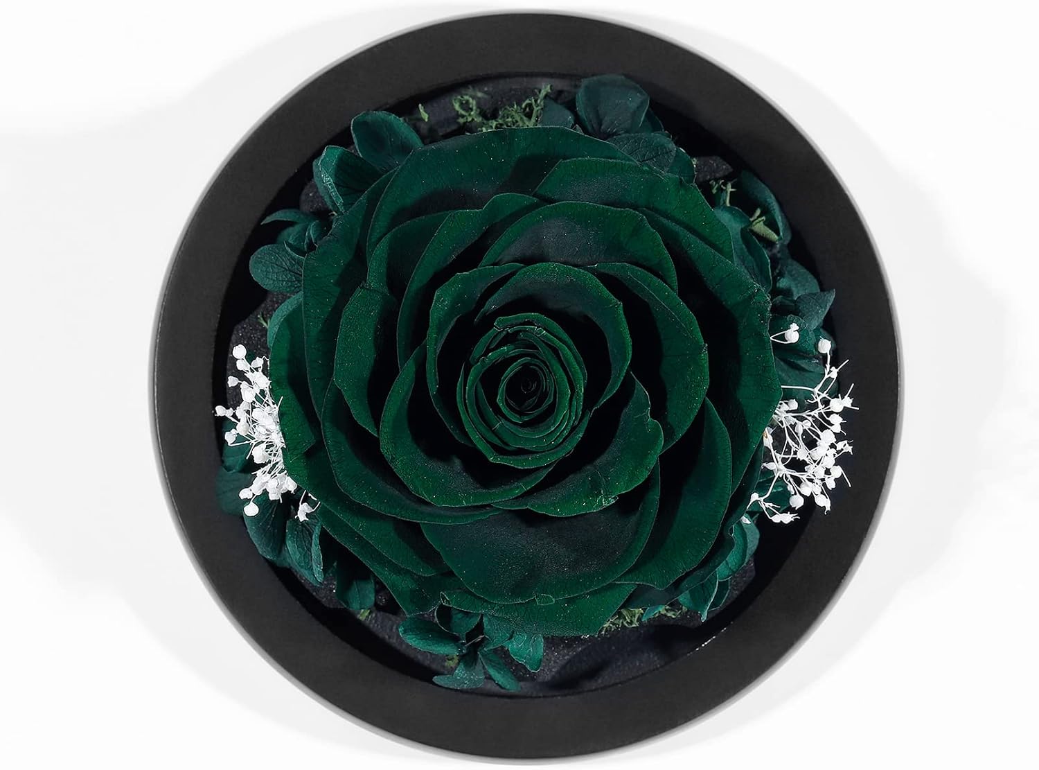 DuHouse Forever Roses Preserved Real Flowers Eternal Enchanted Rose Flower Box for Valentines Gifts Birthday Anniversary Christmas (Dark Green) - Image 5