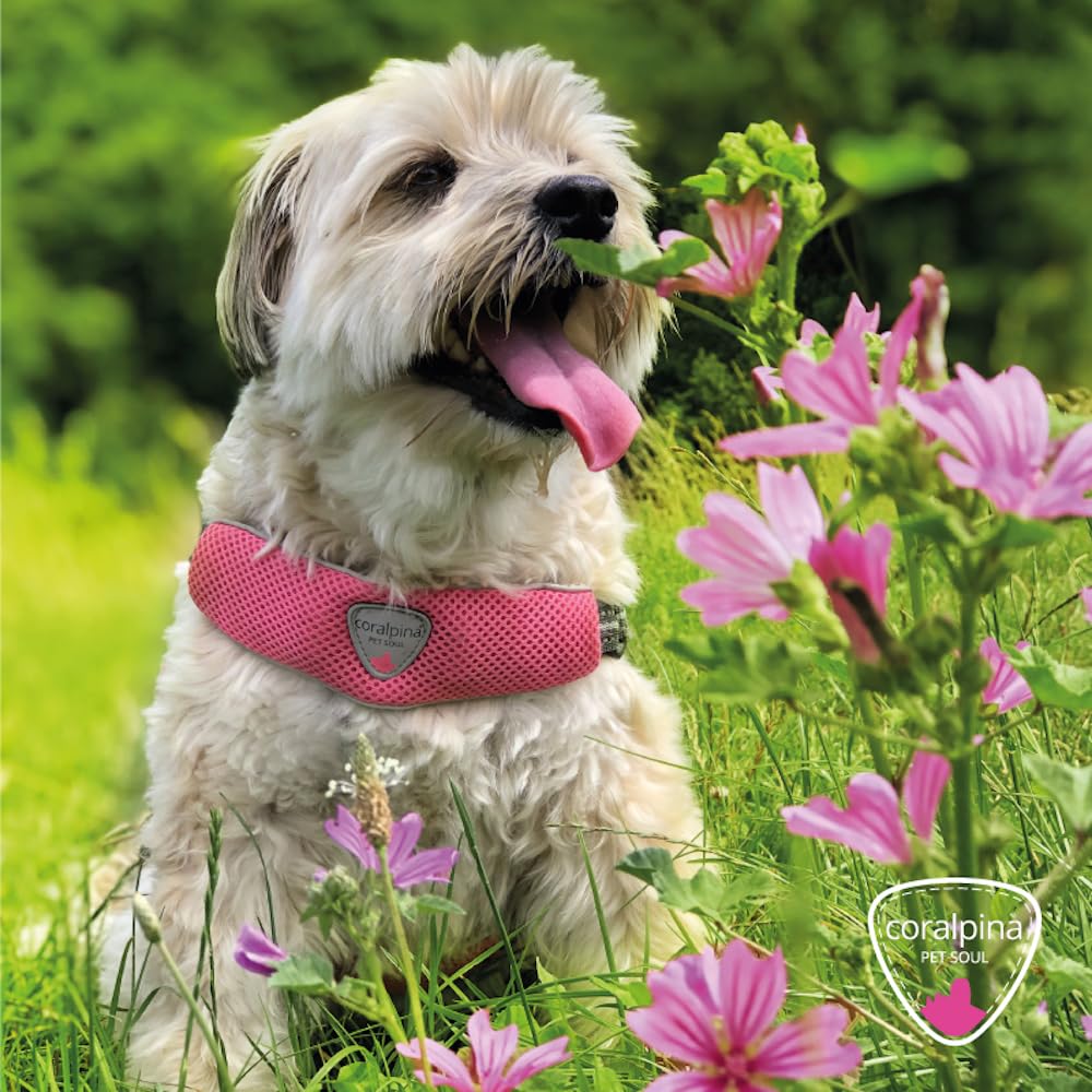 Coralpina Fiames - Arnés Reflectante Ajustable para Perro (35-45 kg)