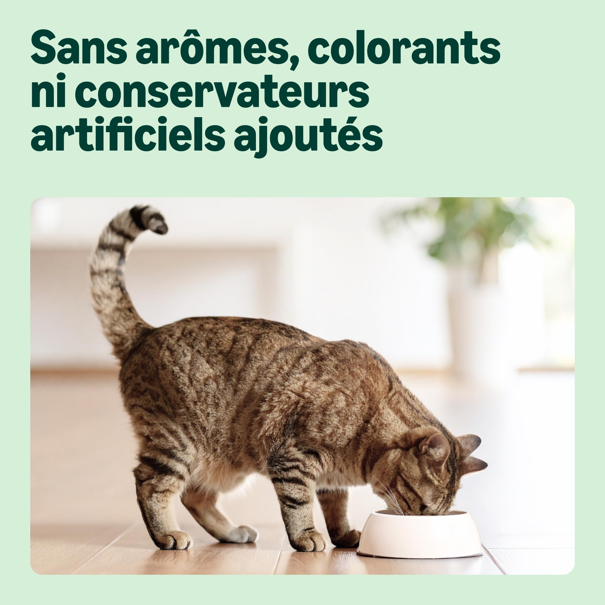 by Amazon Croquettes complètes pour Chats Adultes au Thon et Hareng,10kg, Lot de 1