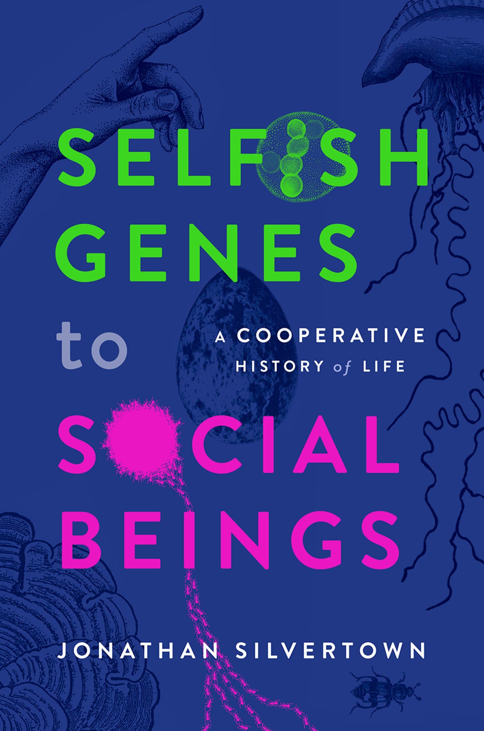 Selfish Genes to Social Beings by Jonathan  Silvertown (Hardback Book)