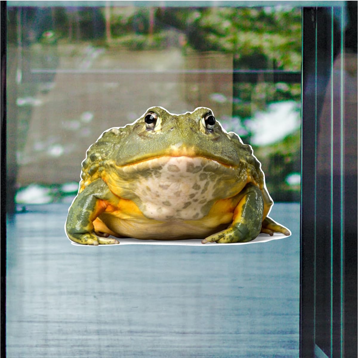 Amazon.com: Pixie Frog Front 3 inch Static Cling : Home & Kitchen