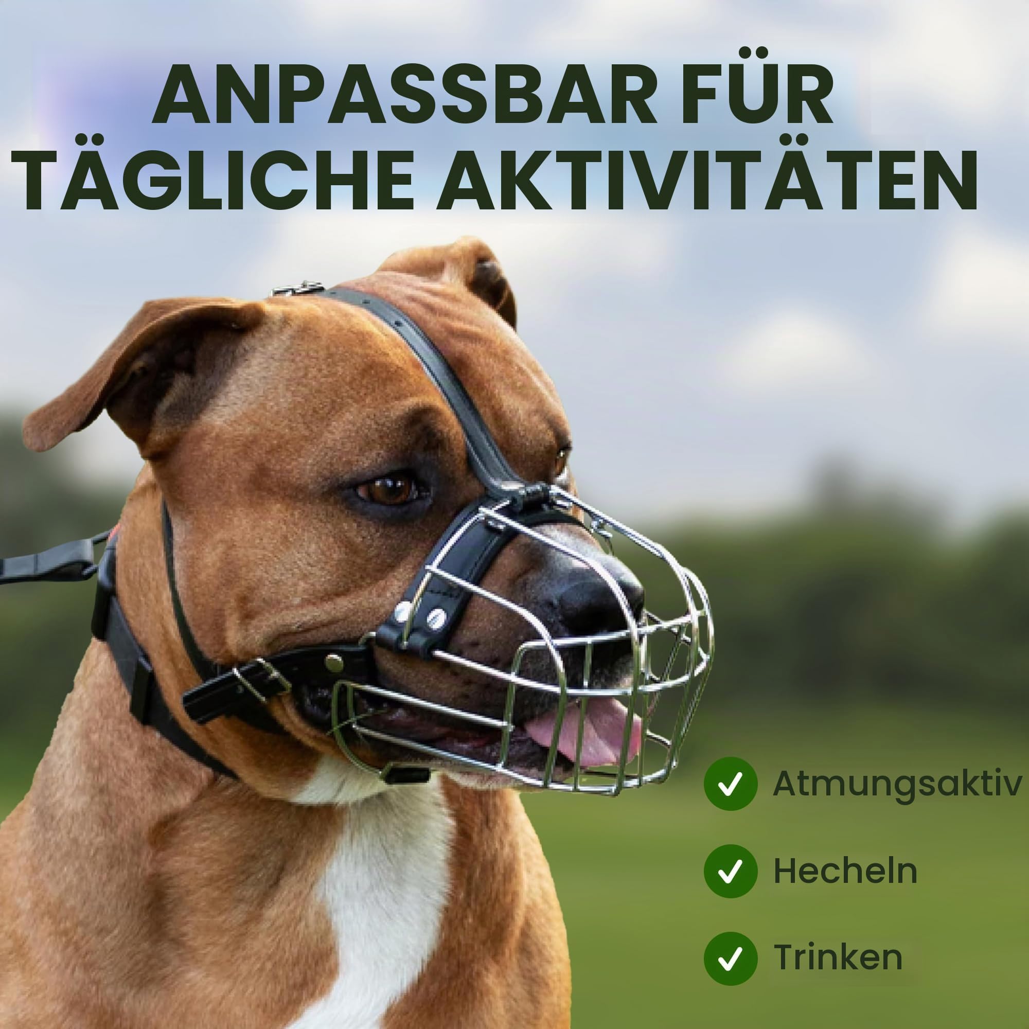 BronzeDog Maulkorb für Hunde aus Metall – Amstaff Drahtkorb mit verstellbaren Lederriemen für große Hunde