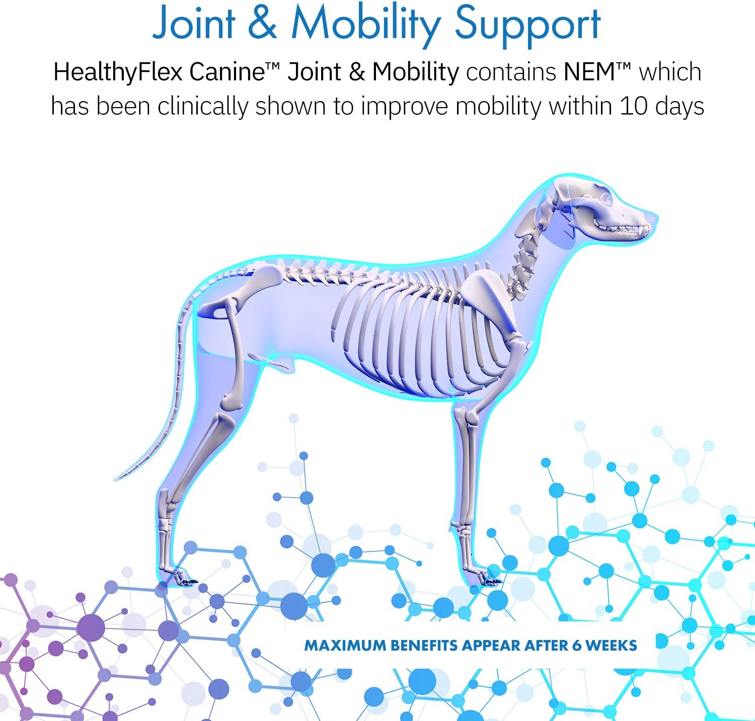 HealthyFlex Canine™ Joint + Mobility Dietary Supplement for Dogs, Natural Eggshell Membrane NEM Formula