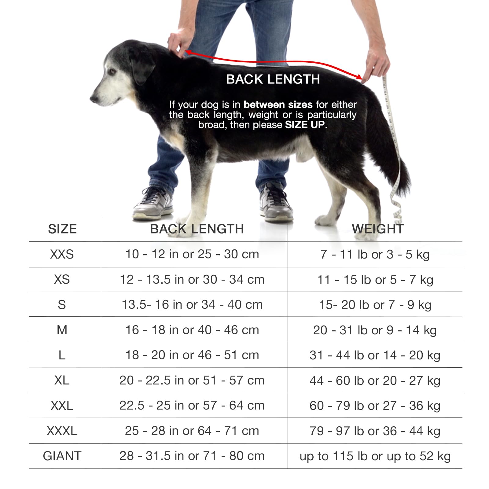 Toalla lujosa para perro, bata de baño de doble capa para perro, bata de baño para perros de secado rápido, toallas súper absorbentes y ultrasuaves para perros secos (M, rosa polvoriento)