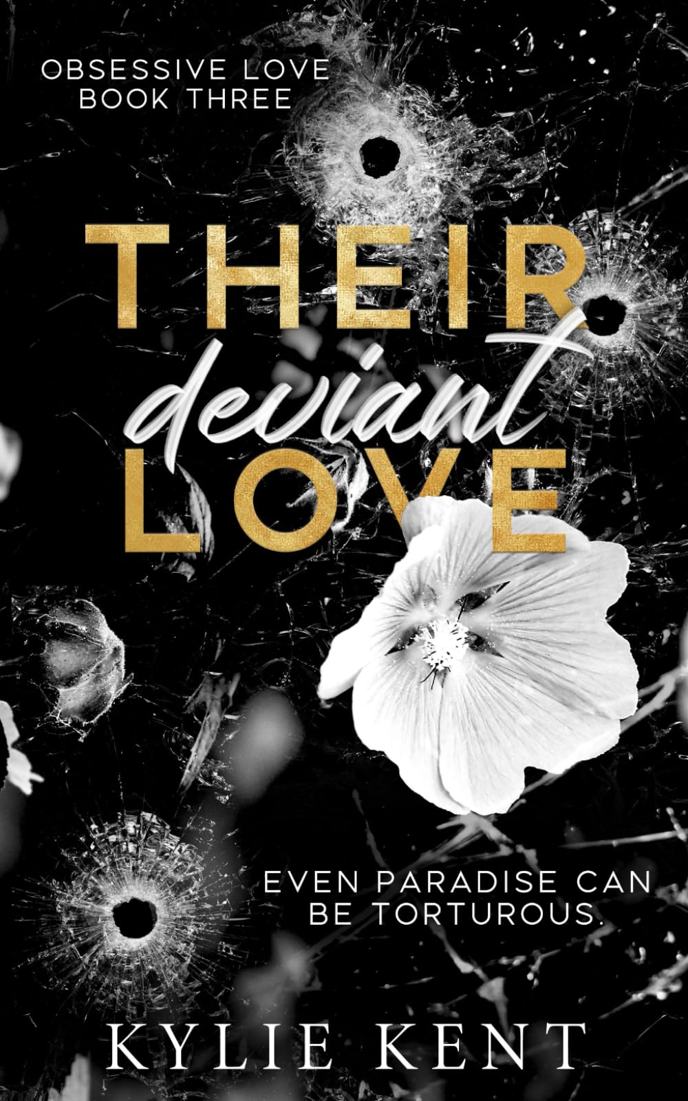 Their Deviant Love (Obsessive Love Trilogy)