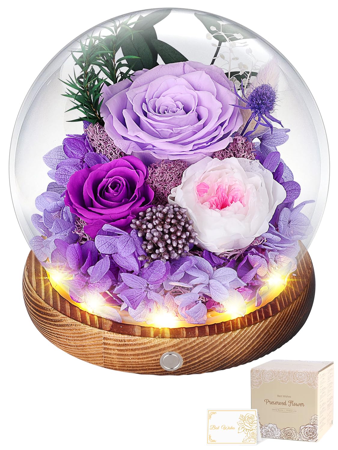 Amazon｜プリザーブドフラワー ガラスドーム 紫色 枯れない花 本物の