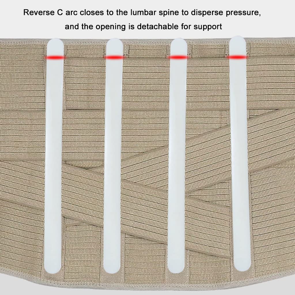 Cintura, for Uomini e Donne, Doppie Cinghie Regolabili for Sciatica, ernia del Disco, scoliosi, Leggere(M/Medium)