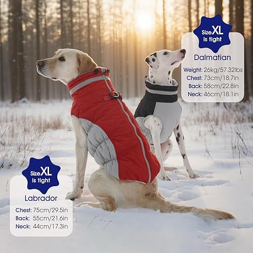 Miniatura 6 de FUAMEY - Abrigo para perro, chaqueta cálida de invierno, acolchada, de vellón, chaleco reflectante con arnés, chaqueta de nieve impermeable con