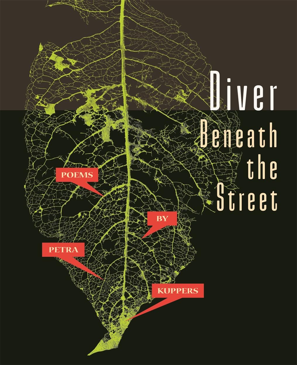 Buy Diver Beneath the Street: Poems (Made in Michigan Writers) — BookShops.in