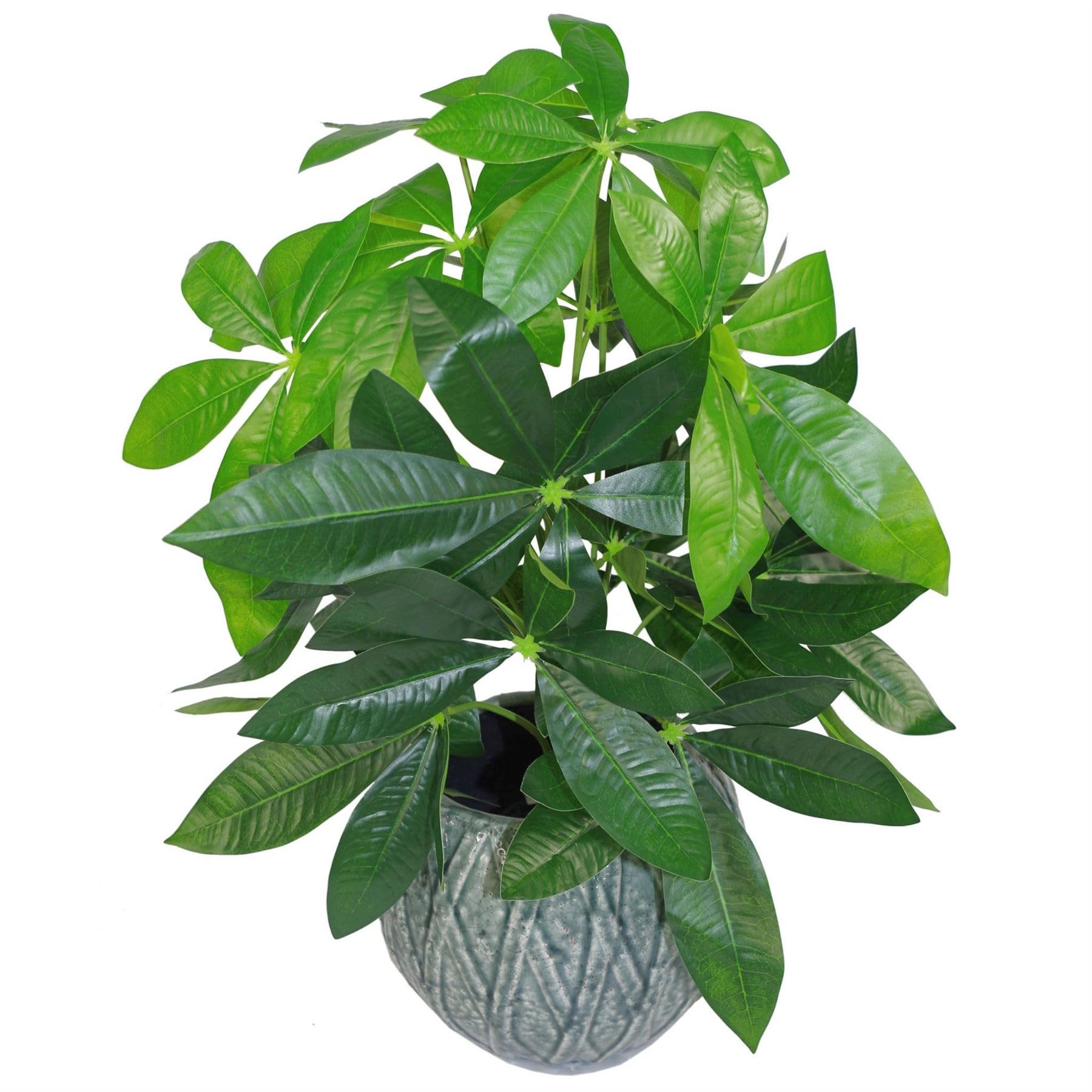 Blue Pirate Tropical Artificial Plants Jade Plant 50Cm House Plant