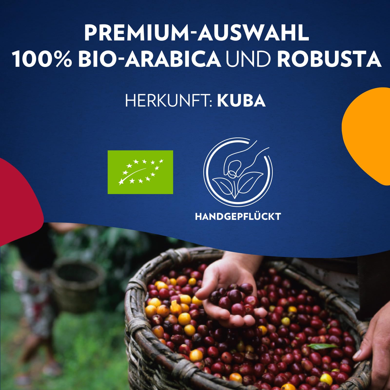 Lavazza, Tierra for Cuba, Bio-Kaffeebohnen, Ideal für Espressomaschinen, mit Aromen von Schokolade und Trockenfrüchten, Arabica und Robusta, Intensität 7/10, Mittlere Röstung, 1 kg