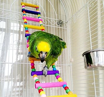 Amazon Kingsie オウムブランコ インコはしご 木製ラダー 噛むおもちゃ 鳥グッズ ストレス解消 木製 マルチカラー Kingsie はしご 通販