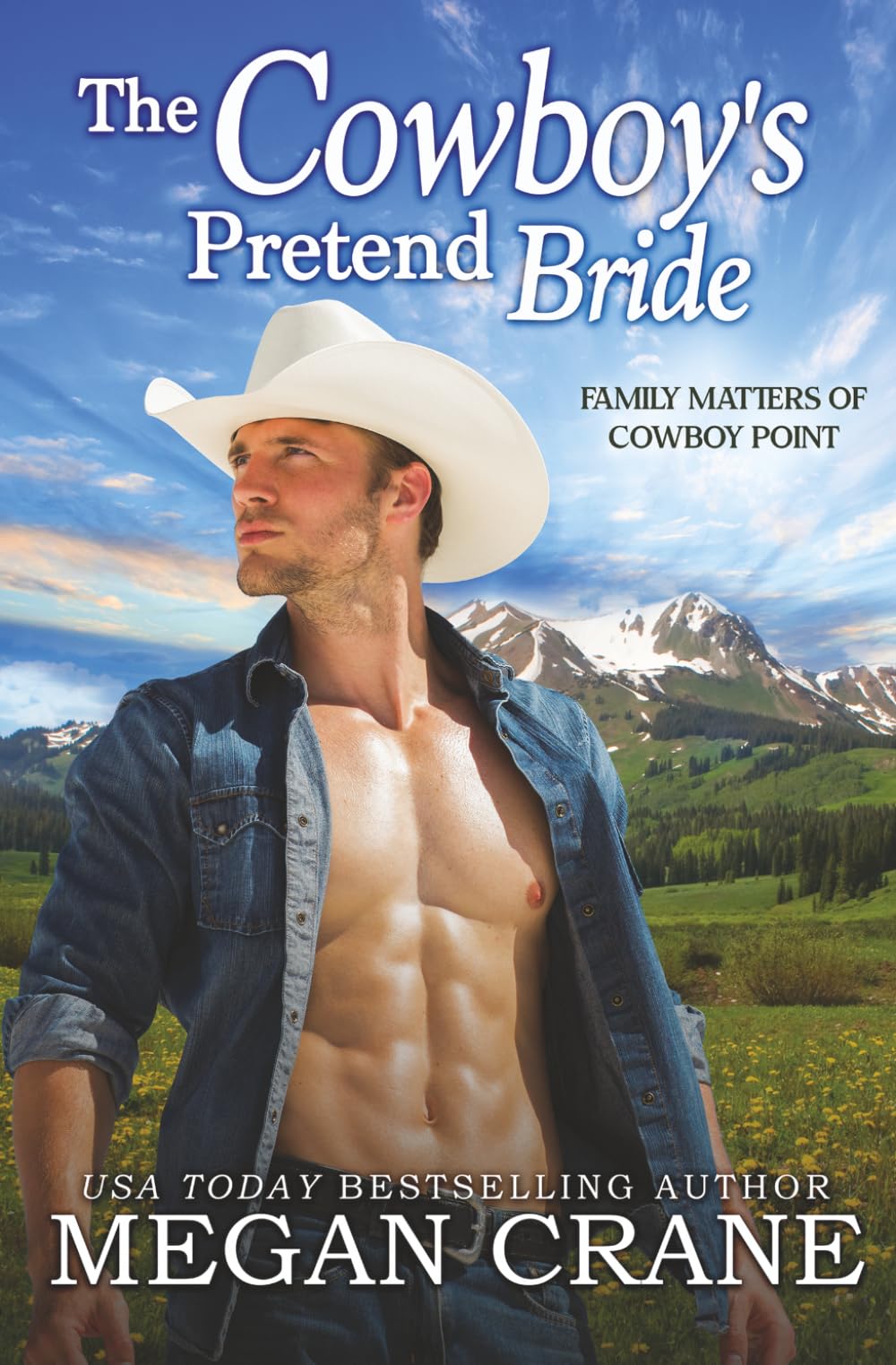 The Cowboy’s Pretend Bride (Family Matters of Cowboy Point)
