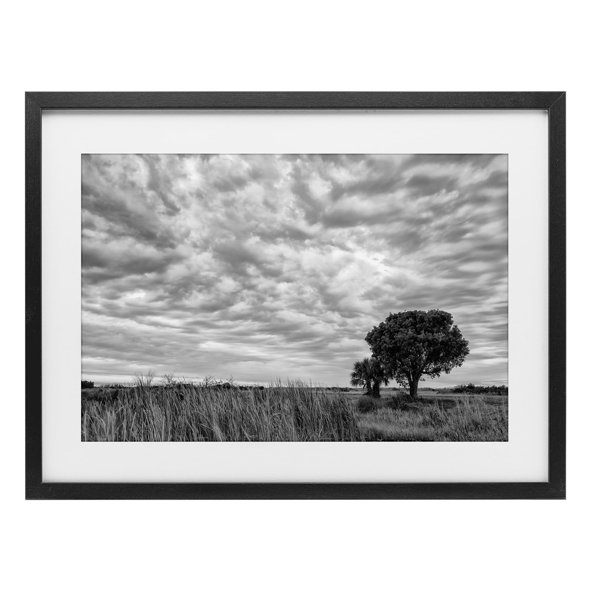 Stupell Industries Midnight Black (Textured) Solitary Tree Landscape Serenity, 17 X 23 Inch Framed Print Under Glass