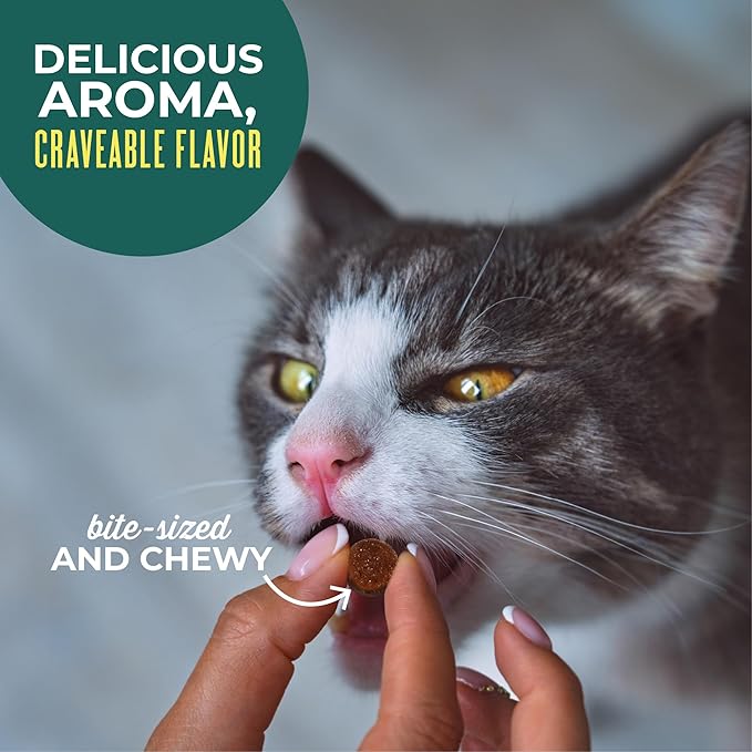 Tiki Cat Snacks Blandos Tuna 6oz miniatura 6