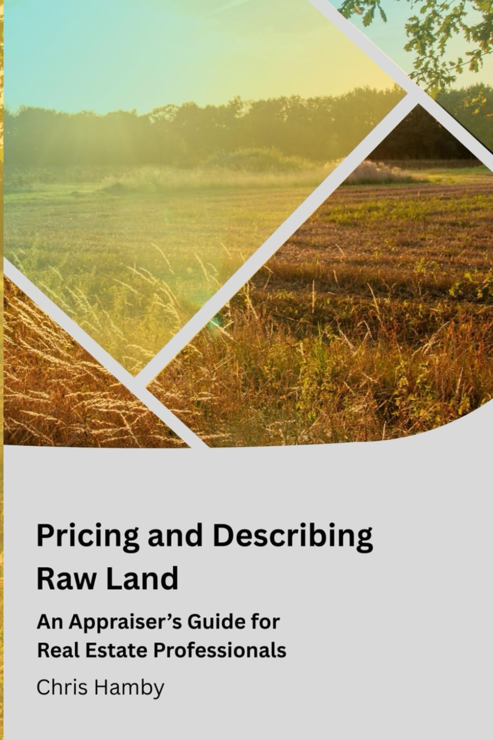 Pricing and Describing Raw Land: An Appraiser's Guide for Real Estate Professionals (Appraisal Theory for Real Estate Agents)