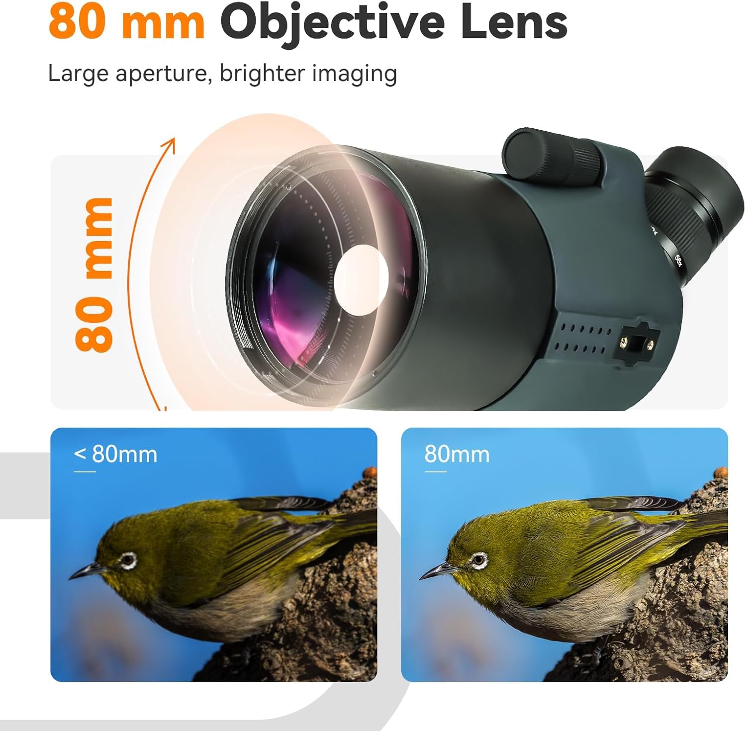 Svbony SV41Pro Mak 28-84X80 Spektiv mit SC002 WiFi Spektiv Kamera, FMC Dual Speed Fokus für Sportschützen, Wasserdichtes Spektive mit Stativ für Vogelbeobachtung Mond Astronomische Beobachtung, Starg