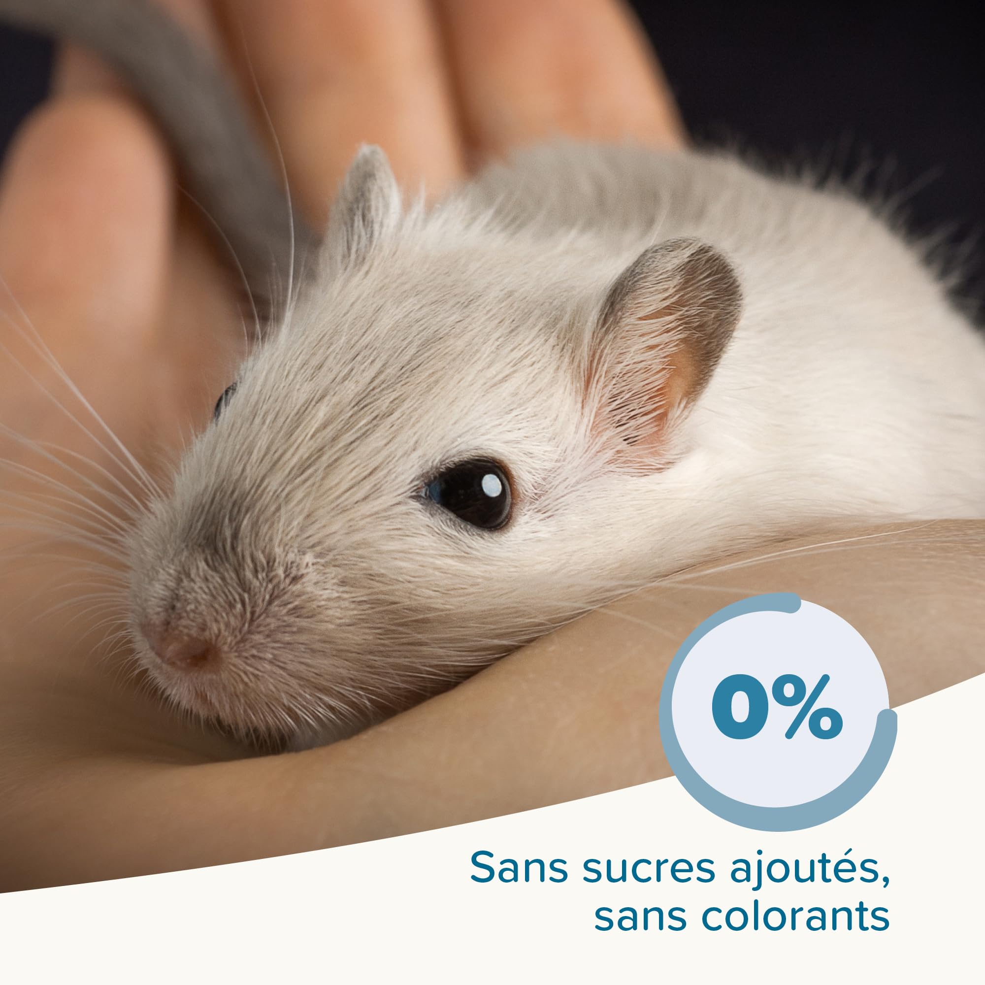 BEAPHAR – Care+® – Alimentation Super Prenium extrudée pour Gerbille et Souris – Aux proteines animales – Haute digestibilité – Participe à l’Usure Naturelle de Dents – Granulés Tout-en-Un – 500g