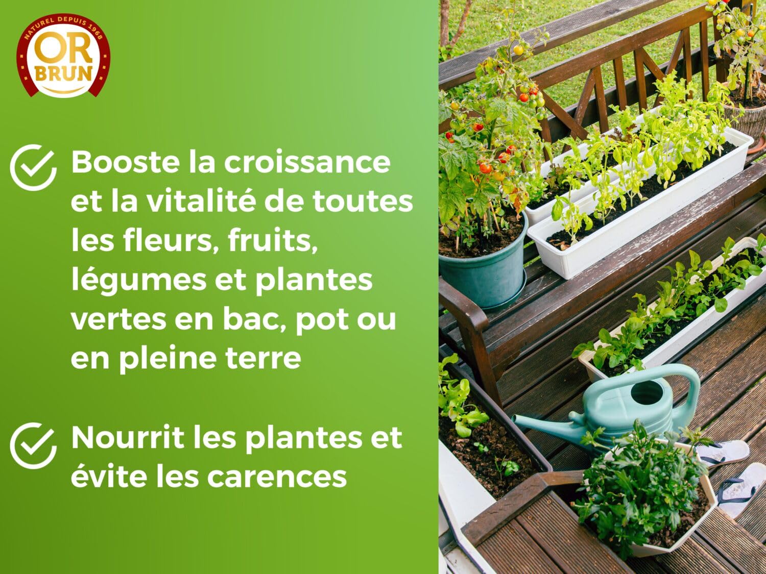 OR BRUN Engrais Universel - 1L - Nourrit Les Plantes & Améliore La Floraison - Fabriqué En France - Utilisable En Agriculture Biologique OBRECLUNI1 (Lot de 3)