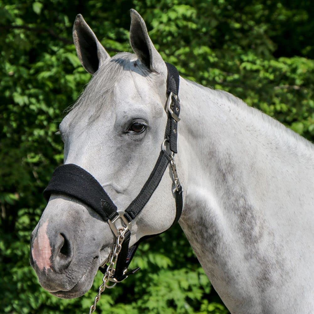 Jeffers Llama Halter - Adult Color: Black