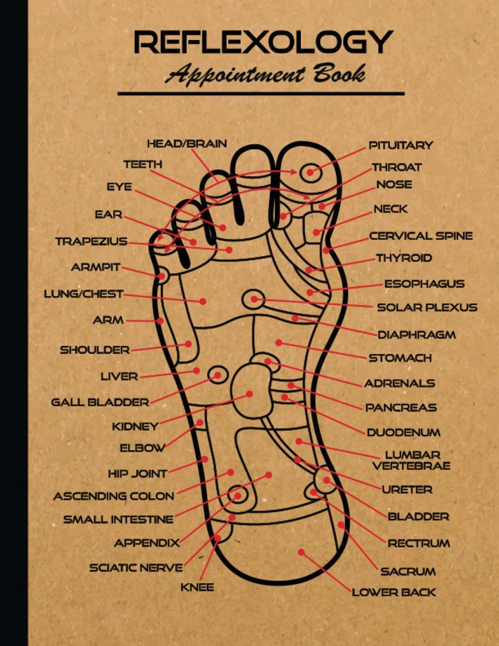 Reflexology Appointment Book: Appointment Planner for Reflexologists - Client Schedule Book with 15 Minute Increment - Weekly Daily and Hourly Schedule