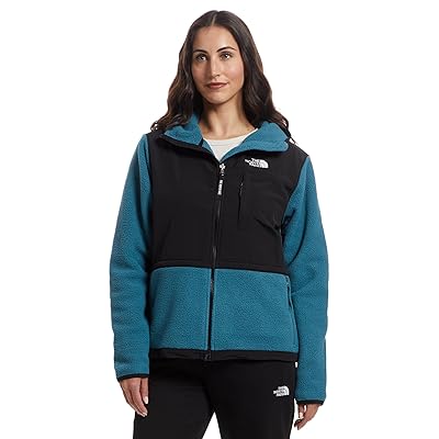 The North Face Retro Denali Hoodie Women