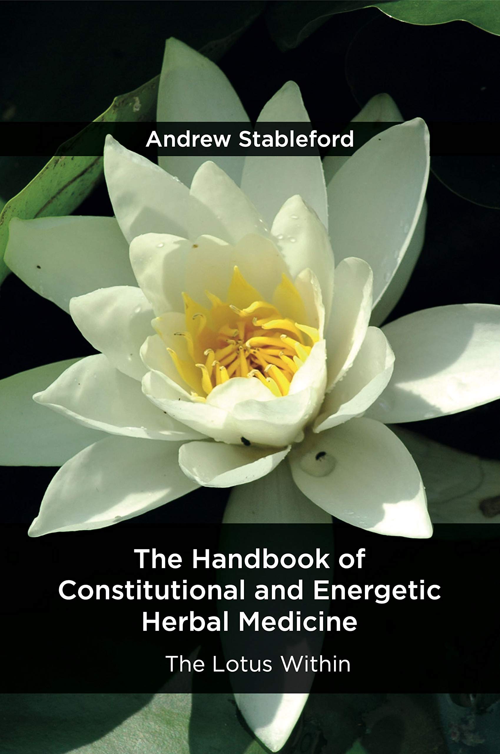 The Handbook of Constitutional and Energetic Herbal Medicine ... - 9781912807130