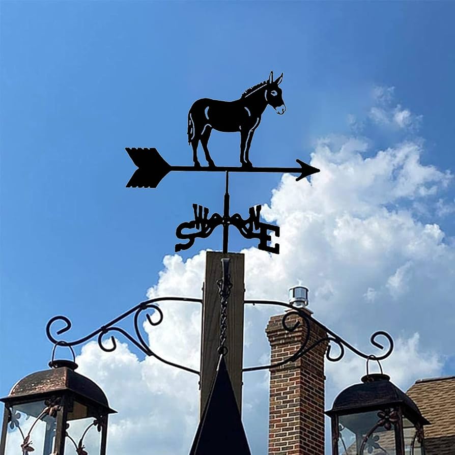 風見鶏 風見鶏 農場 ステンレススチール製 家庭用 風見鶏 風向計 風向