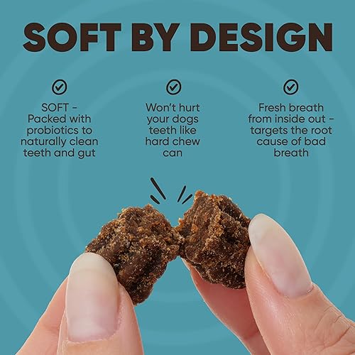 Miniatura 3 de Avery's Holistic Paws Golosinas dentales probióticas para perros, limpieza de dientes de perro, salud intestinal, refresca el aliento, 23