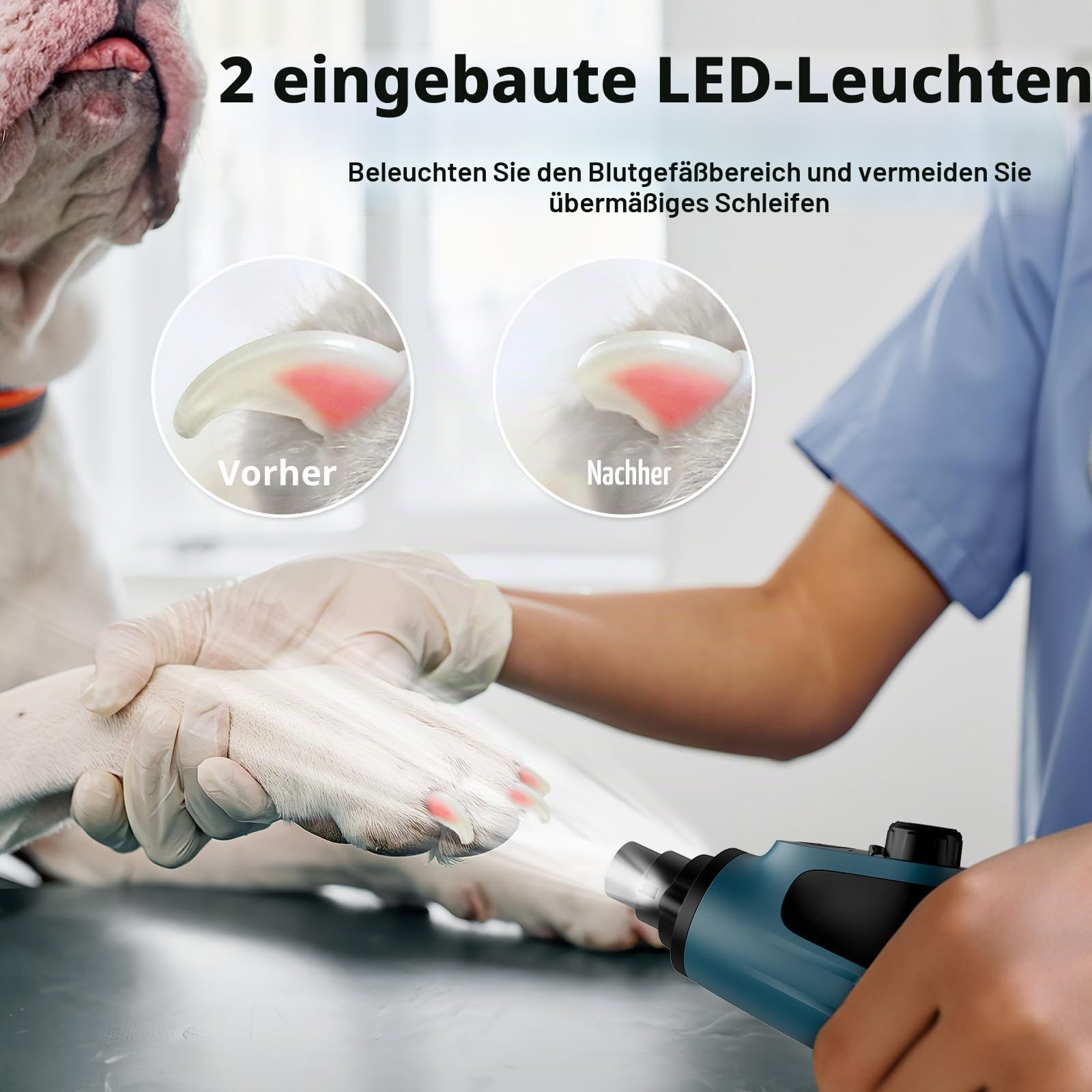 Casfuy Smarter Krallenschleifer für Hunde 6-Gang – 50% Mehr Leistung Krallenschleifer für Haustiere mit 2 LED-Leuchten, Superleise, Wiederaufladbare für Große, Mittelgroße und Kleine Hunde und Katzen