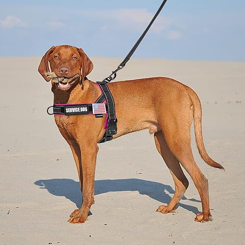 Miniatura 6 de Arnés para perro sin tirones con funda para Airtag y dos parches, ajuste rápido y arnés reflectante a prueba de escapes, arnés de chaleco fácil para