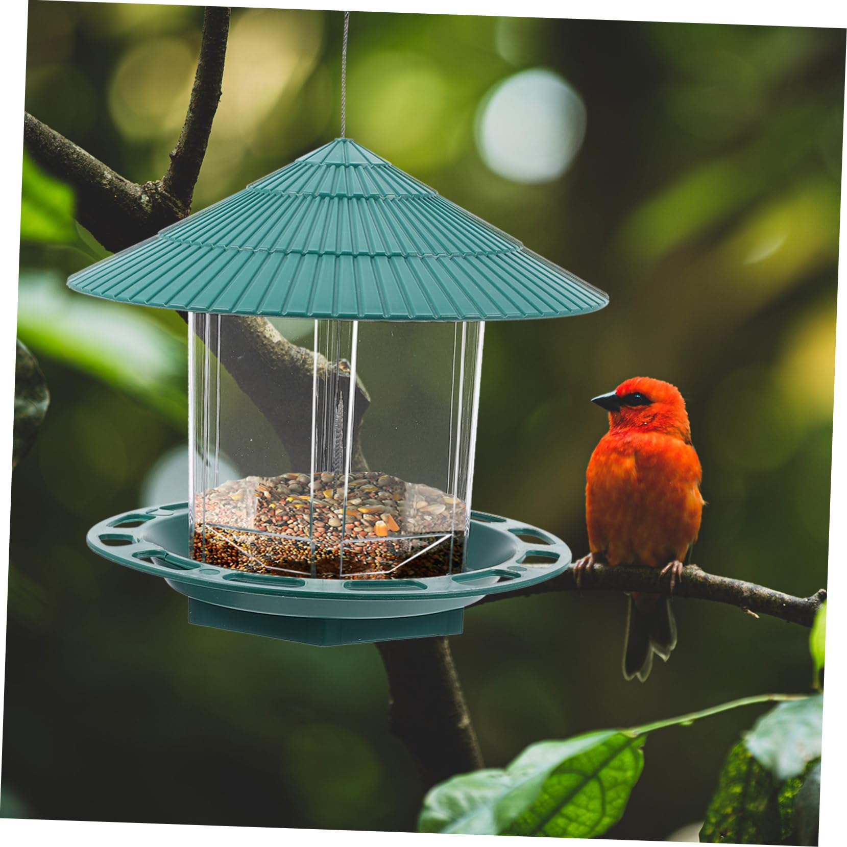 HEMOTON Mangiatoia Per Uccelli Sospesa in Plastica Trasparente Mangiatoia Per Pappagalli Da Giardino Decorazione Pratica e Sicura