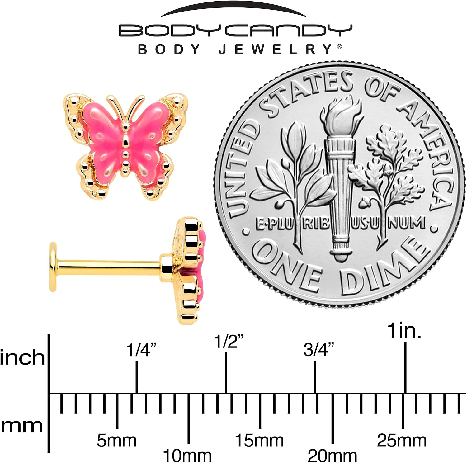 Body Candy Flat Back Cartilage Earring - 16 Gauge 5/16 316L Surgical Steel Butterfly Pink Splash Stud Earring for Cartilage, Conch, Helix, Labret, Tragus, Monroe
