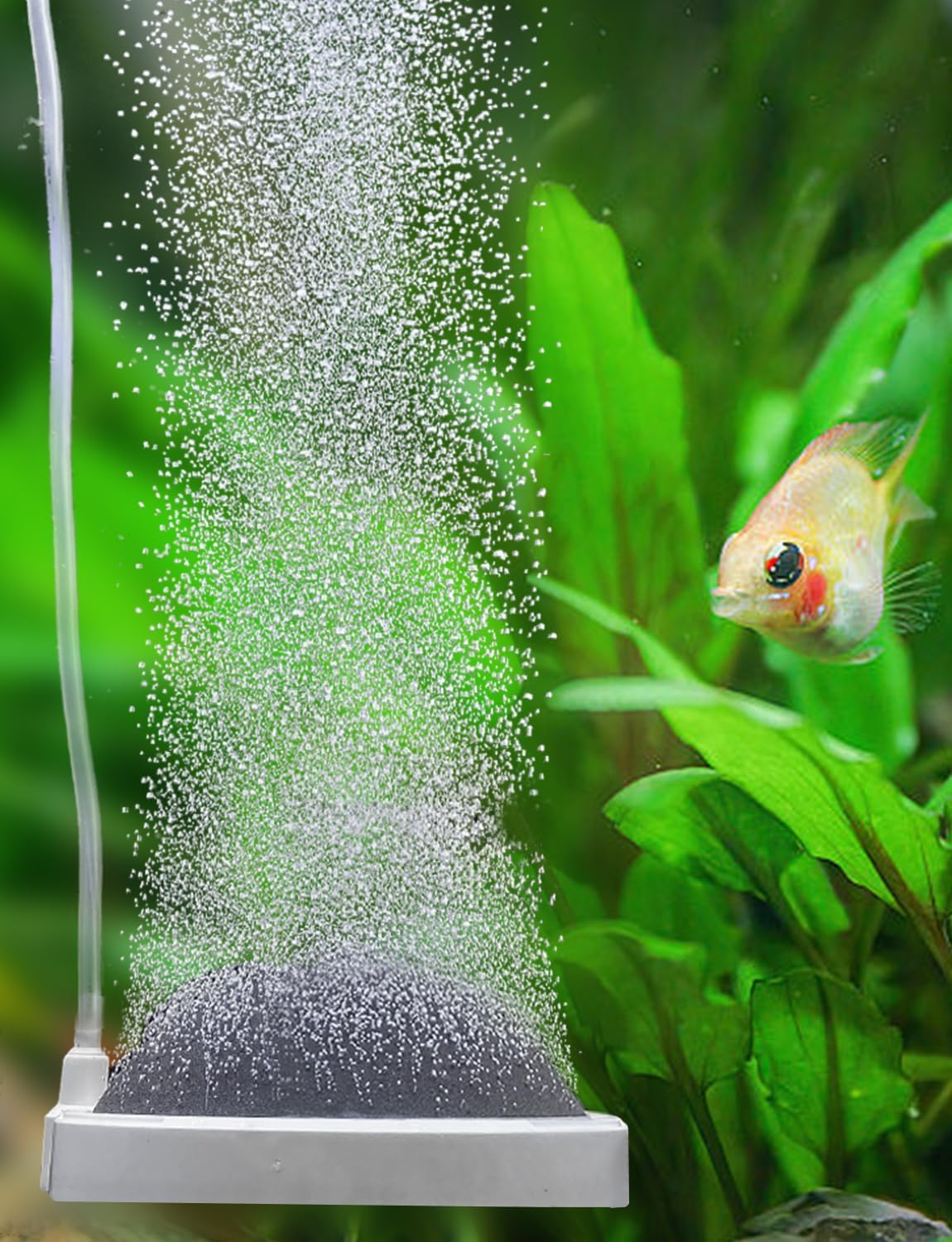 bOblesゾウ(Smoke) Amazon.com : Aquarium Air Stone Fish Tank Bubbler Small Nano