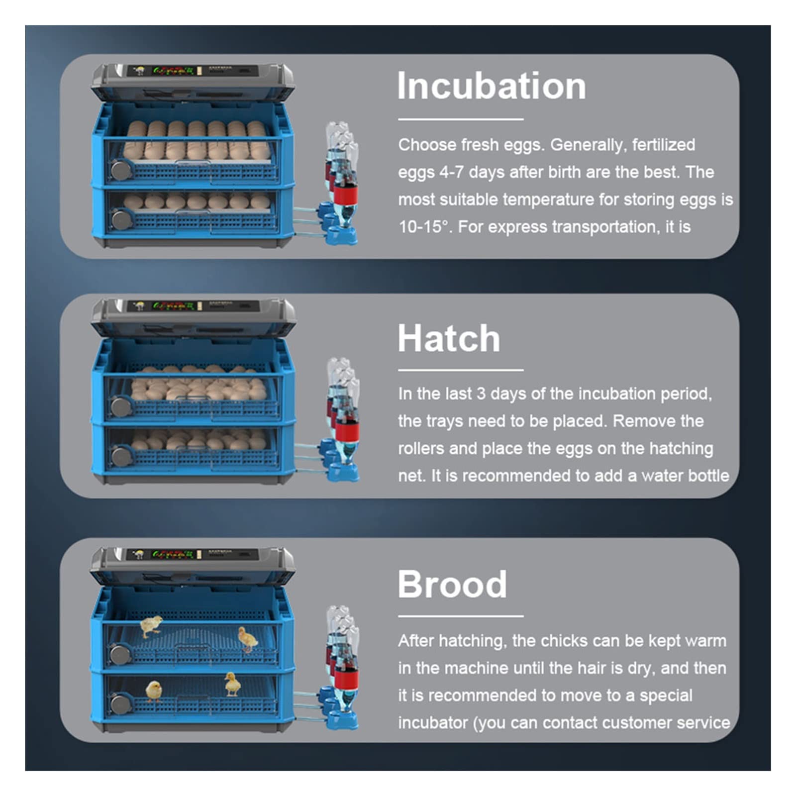 Incubatrici per uova da cova, 36 Incubatrice for uova Incubatrice digitale completamente automatica Chioccia for uso domestico Fattoria Incubatrice for uccelli di pollo Uova Incubadora per la cova del