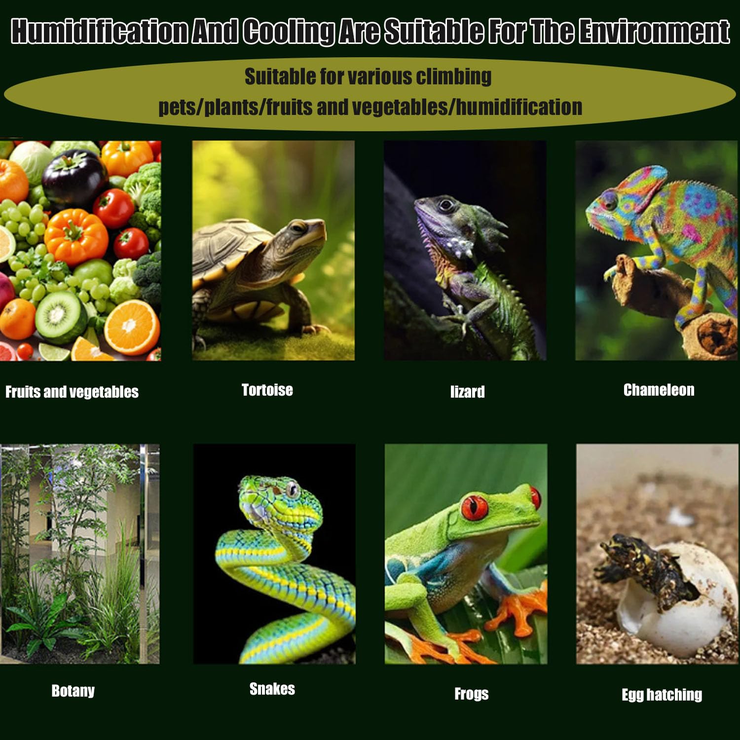Humidificador para reptiles de 5 l, relleno superior ajustable para terrarios, anfibios, hierbas con manguera de extensión, fabricante de niebla multifuncional para el hogar