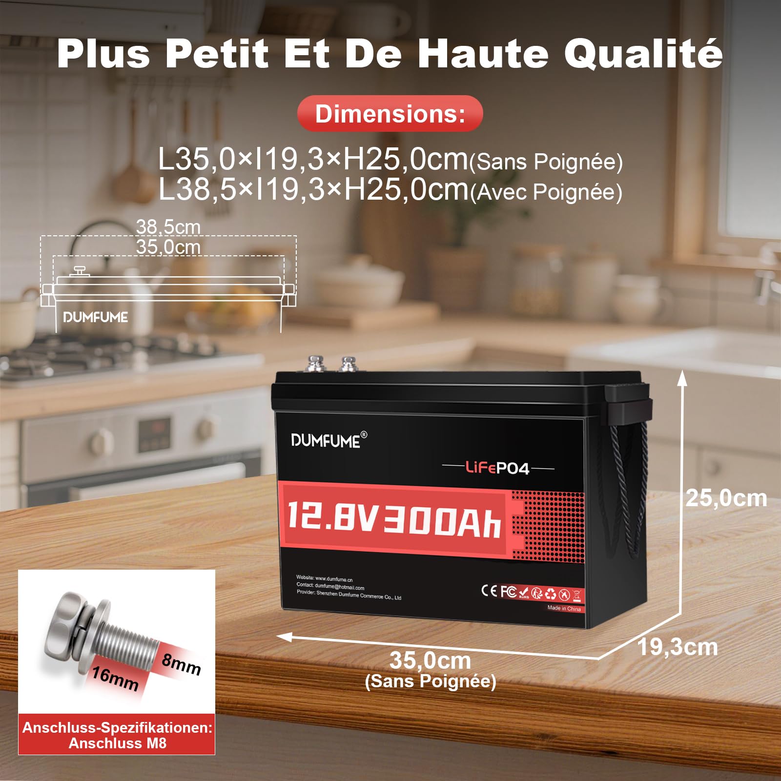 Batterie Lithium 12V 300Ah Lifepo4 - BMS 200A 3840Wh | Batterie Fer Phosphate Rechargeable Pour Stockage D'éNergie Solaire, Alimentation De Secours, Camping-Car, Camping