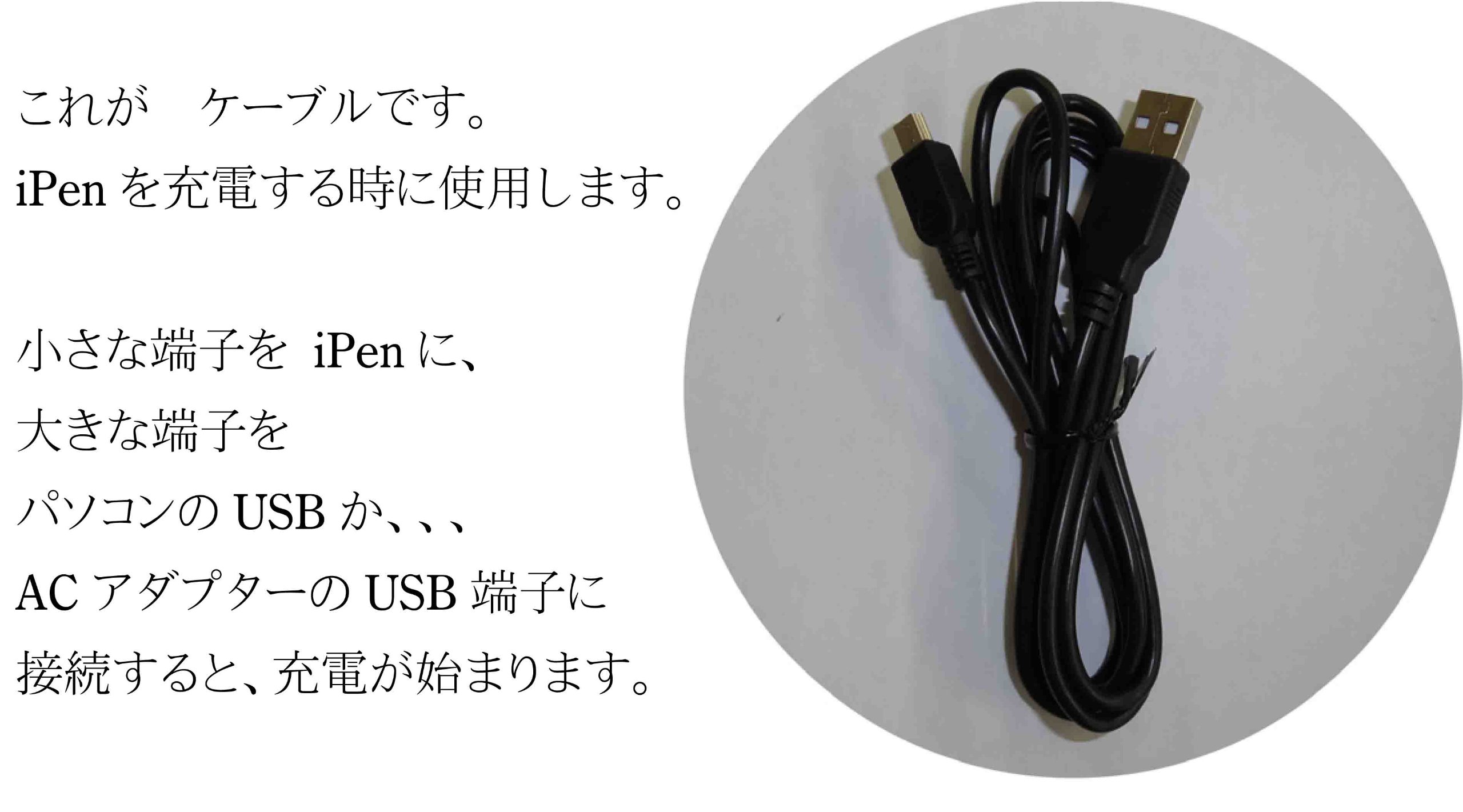 Amazon.co.jp: スクリーンプレイ 音が出るペン （音が出るペンiPen 