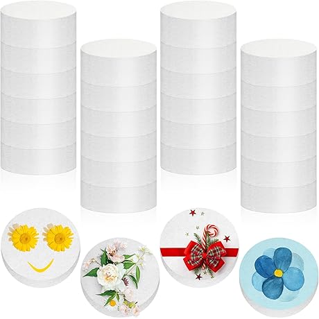 Henoyso Foam Cylinders for Crafts