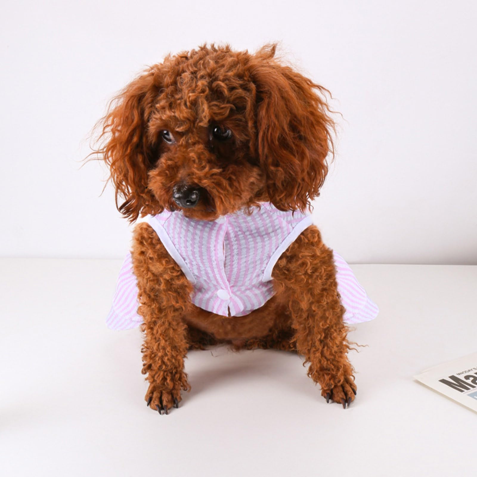 Ling & Bai 2Pcs Cute Dog Dresses Cats Princess Dress Dogs Summer Outfits with Bowknot Apparel Pet Clothes for Puppy Kitten (Pink & Purple - Image 3